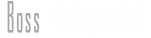 bosstindojaya